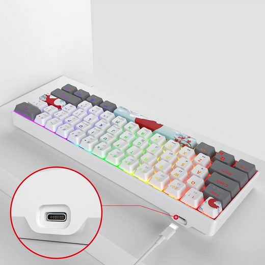 RGB-Hintergrundbeleuchtung Gaming-Tastatur (Ultimatives Gaming-Erlebnis, Kompakte 60 % Tastatur für FPS-Spieler)