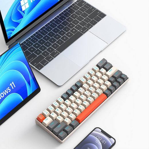 Diida Mechanische Tastatur,USB-Tastatur,63 Tasten,RGB-Hintergrundbeleuchtung Gaming-Tastatur (Trennung von Tastatur und Kabel)