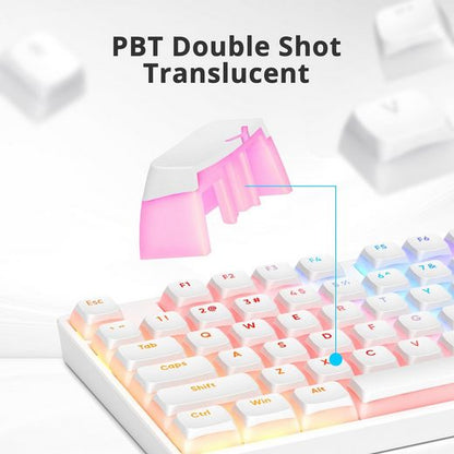 RGB Hintergrundbeleuchtung Gaming-Tastatur (mit transparentem Design und verbesserten für eine optimale Gaming)