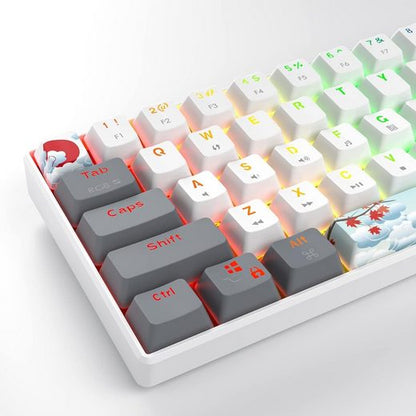 RGB-Hintergrundbeleuchtung Gaming-Tastatur (Ultimatives Gaming-Erlebnis, Kompakte 60 % Tastatur für FPS-Spieler)