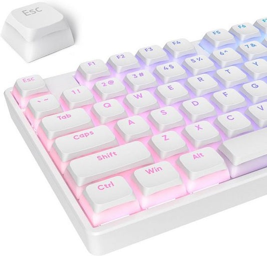 RGB Hintergrundbeleuchtung Gaming-Tastatur (mit transparentem Design und verbesserten für eine optimale Gaming)