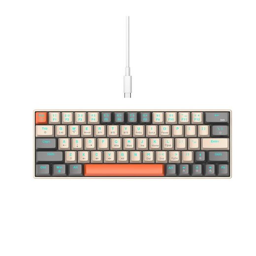 Diida Mechanische Tastatur,USB-Tastatur,63 Tasten,RGB-Hintergrundbeleuchtung Gaming-Tastatur (Trennung von Tastatur und Kabel)