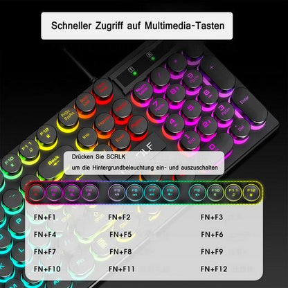 Diida Gaming Tastatur,Maus,Punk,Farbig beleuchtete Tasten,für PC/Laptop Tastatur- und Maus-Set