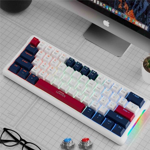 DIIDA mechanische Tastatur, Gaming-Tastatur, kabelgebundene Tastatur Gaming-Tastatur