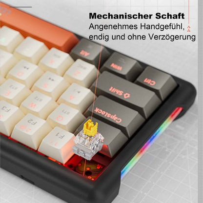 DIIDA mechanische Tastatur, Gaming-Tastatur, kabelgebundene Tastatur Gaming-Tastatur