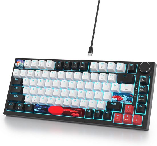 RGB Hintergrundbeleuchtung Gaming-Tastatur (Mechanische rote Schalter mit PC-Positionierungsplatte &N-Key Rollover)