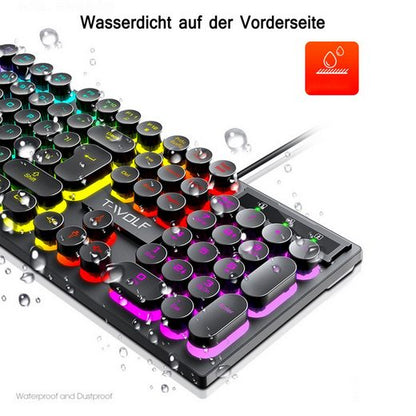 Diida Gaming Tastatur,Maus,Punk,Farbig beleuchtete Tasten,für PC/Laptop Tastatur- und Maus-Set