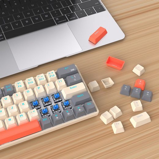 Diida Mechanische Tastatur,USB-Tastatur,63 Tasten,RGB-Hintergrundbeleuchtung Gaming-Tastatur (Trennung von Tastatur und Kabel)